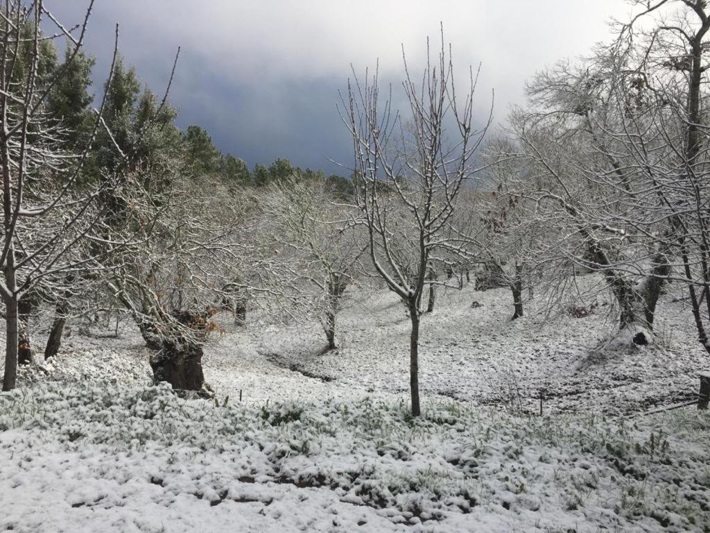 Chalet Viviendas Rurales Del Robledo